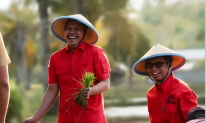 Bulan Bung Karno, PDI Perjuangan Baubau Turun ke Sawah Dukung Ketahanan Pangan