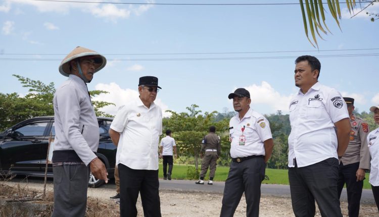 Walikota Tinjau Areal Persawahan Petani Terdampak Kemarau dan El Nino